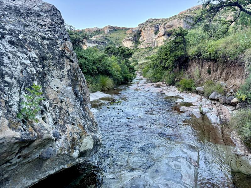 0 Bedroom Property for Sale in Fouriesburg Free State